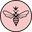 Wasp Waist Co logo
